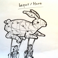 drawing of hare lantern